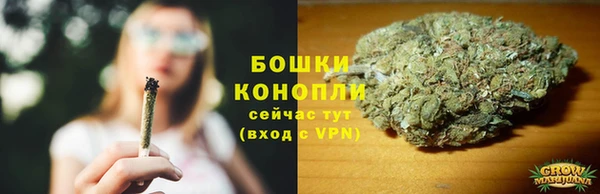 дмт Костерёво