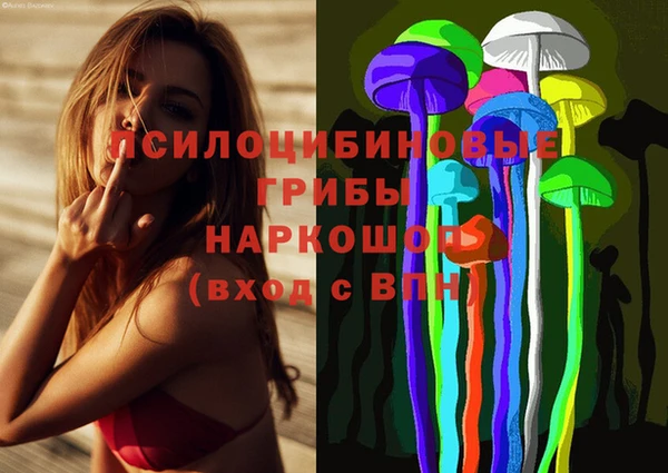 apvp Абинск