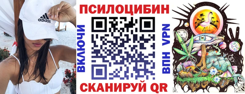 Псилоцибиновые грибы Cubensis  ссылка на мегу зеркало  Новосибирск 
