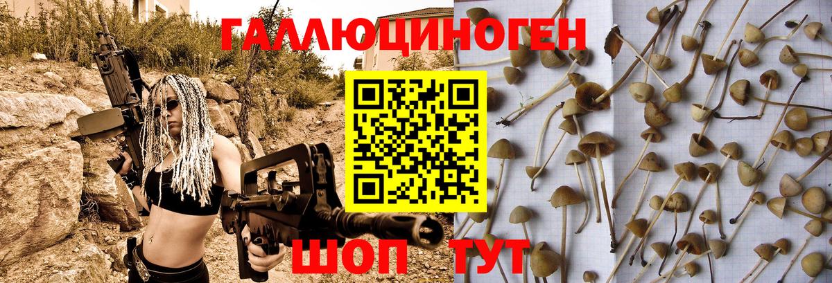 Галлюциногенные грибы мухоморы  Вход с VPN  Новосибирск 