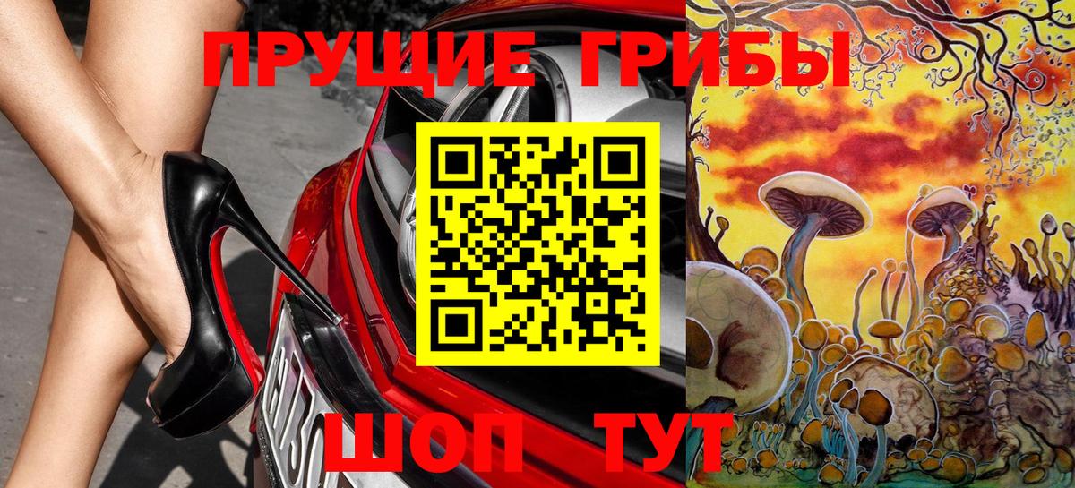 ГАШ Новосибирск
